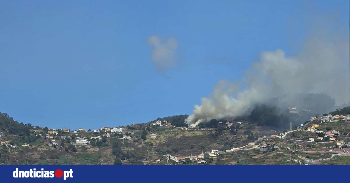 DNOTICIAS.PT
