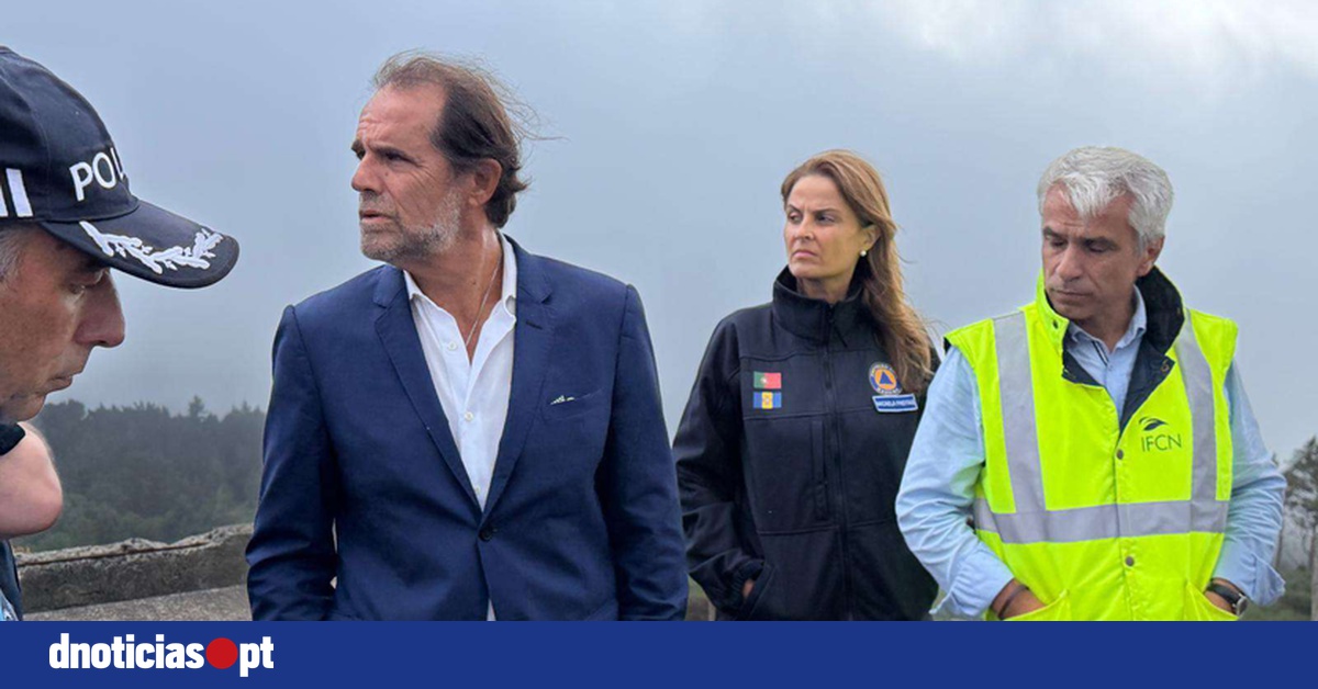 DNOTICIAS.PT