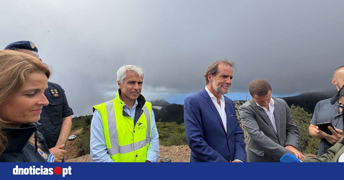 DNOTICIAS.PT