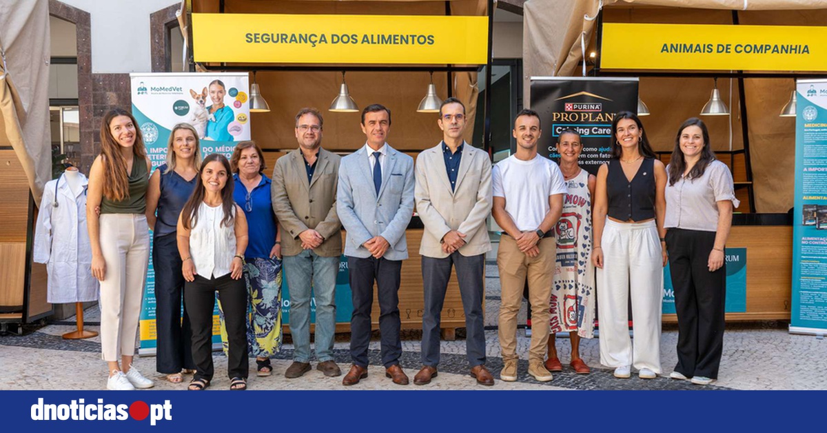 DNOTICIAS.PT