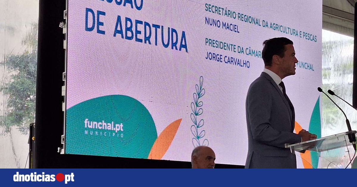 DNOTICIAS.PT