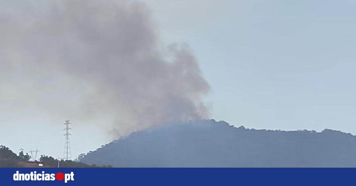 DNOTICIAS.PT