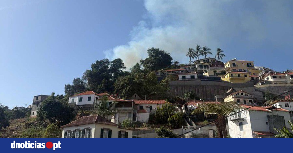 DNOTICIAS.PT