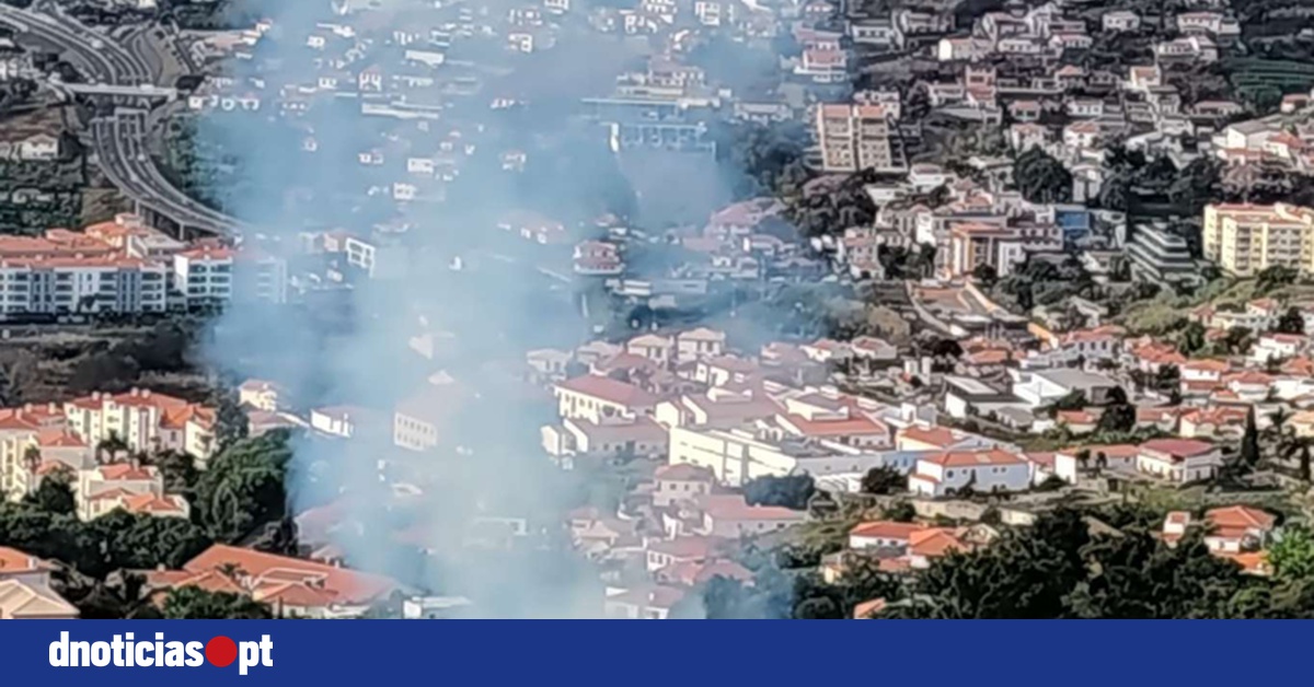 DNOTICIAS.PT