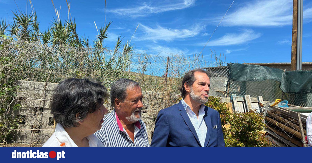 DNOTICIAS.PT