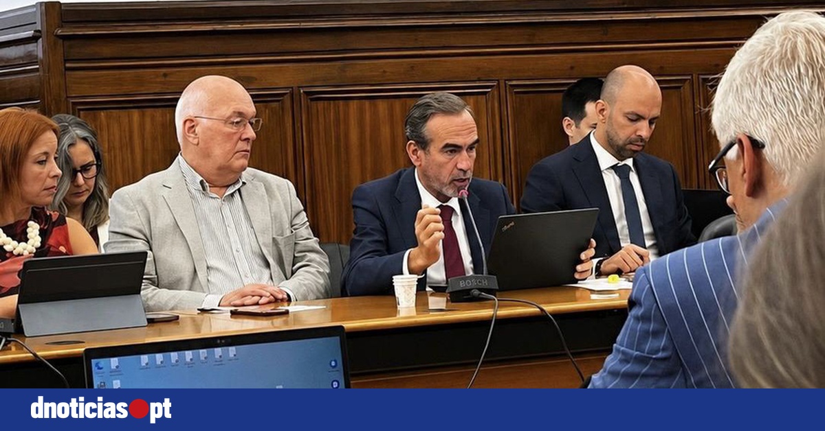 DNOTICIAS.PT