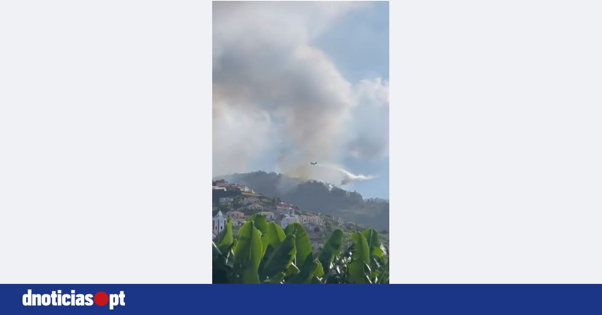 Watch Spain's Canadair Aircraft Battle Wildfires in Madeira!