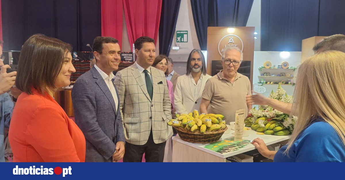 DNOTICIAS.PT