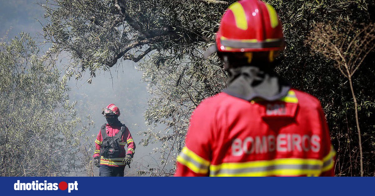 DNOTICIAS.PT