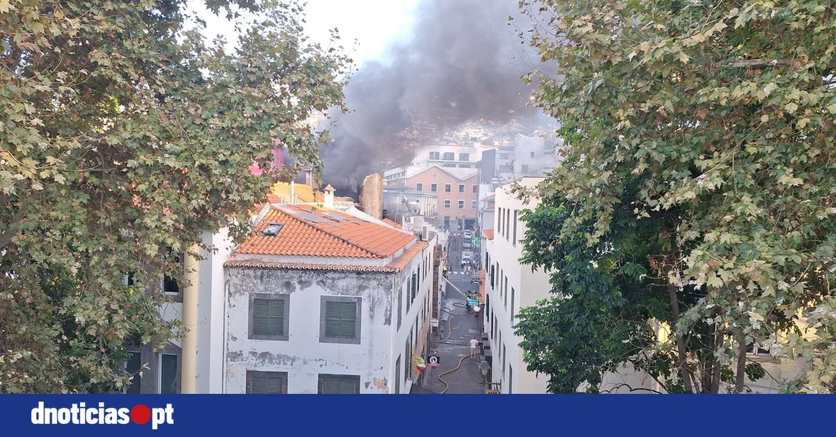 DNOTICIAS.PT