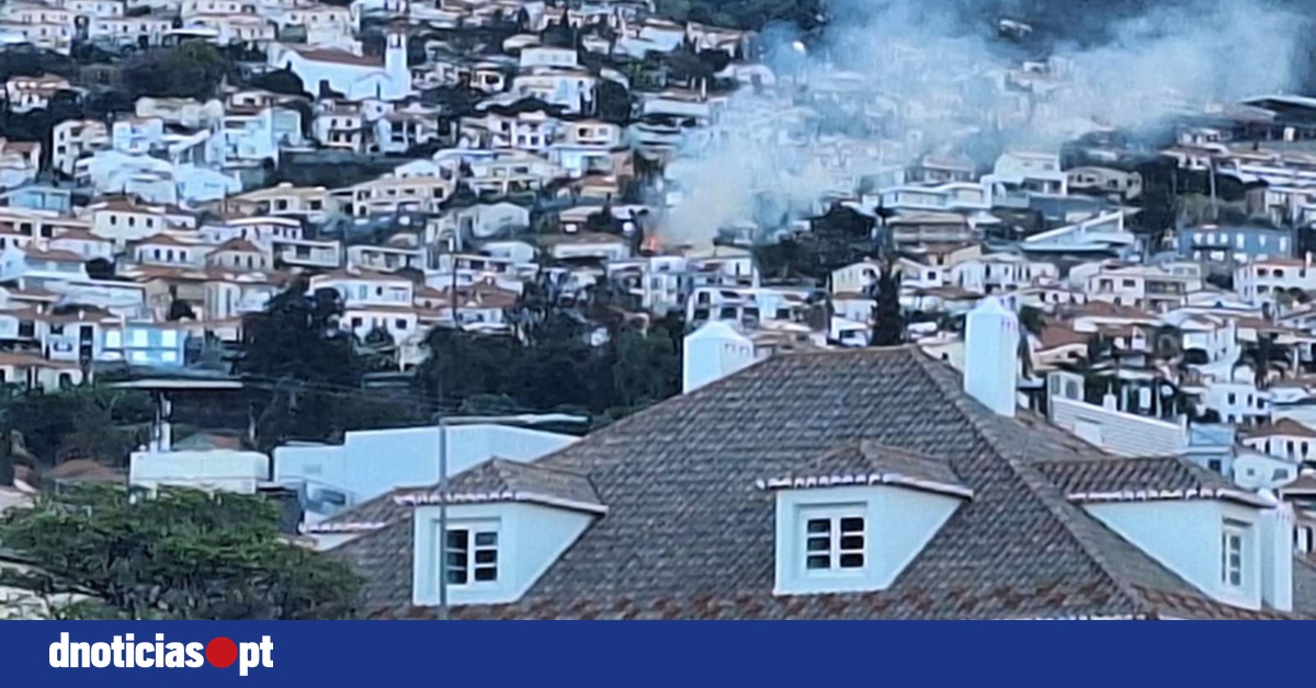 DNOTICIAS.PT