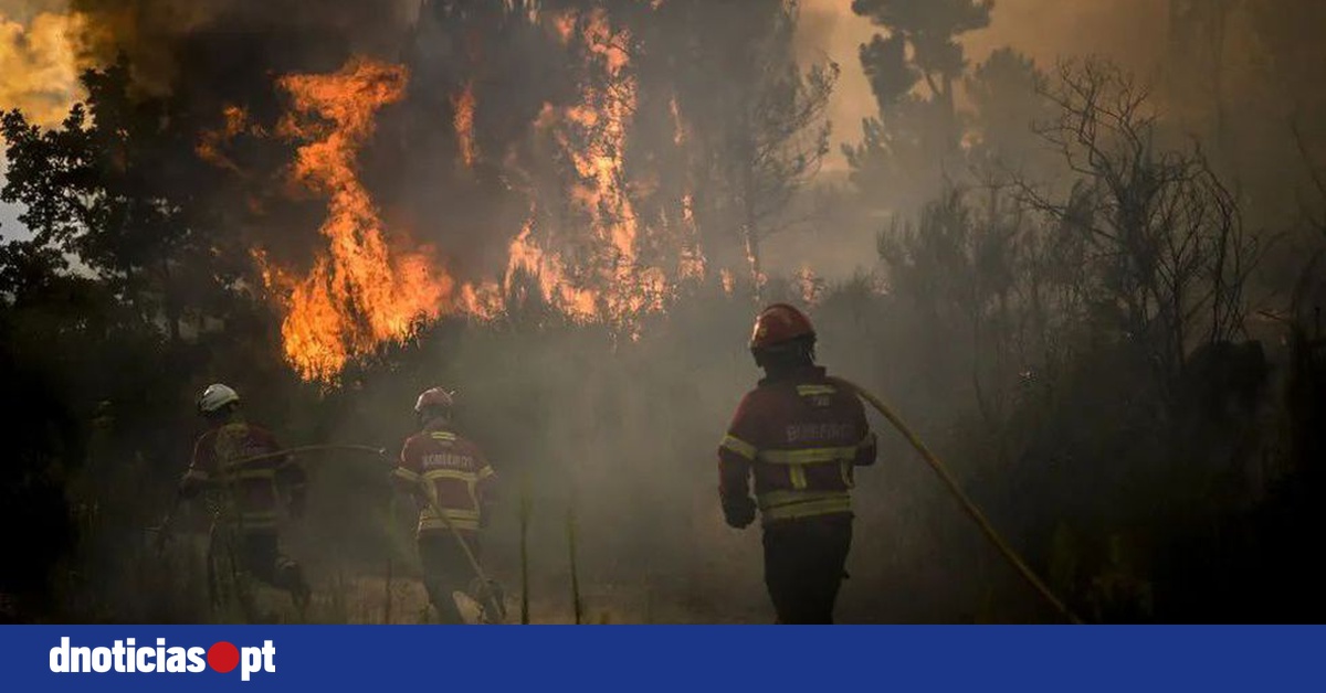 DNOTICIAS.PT