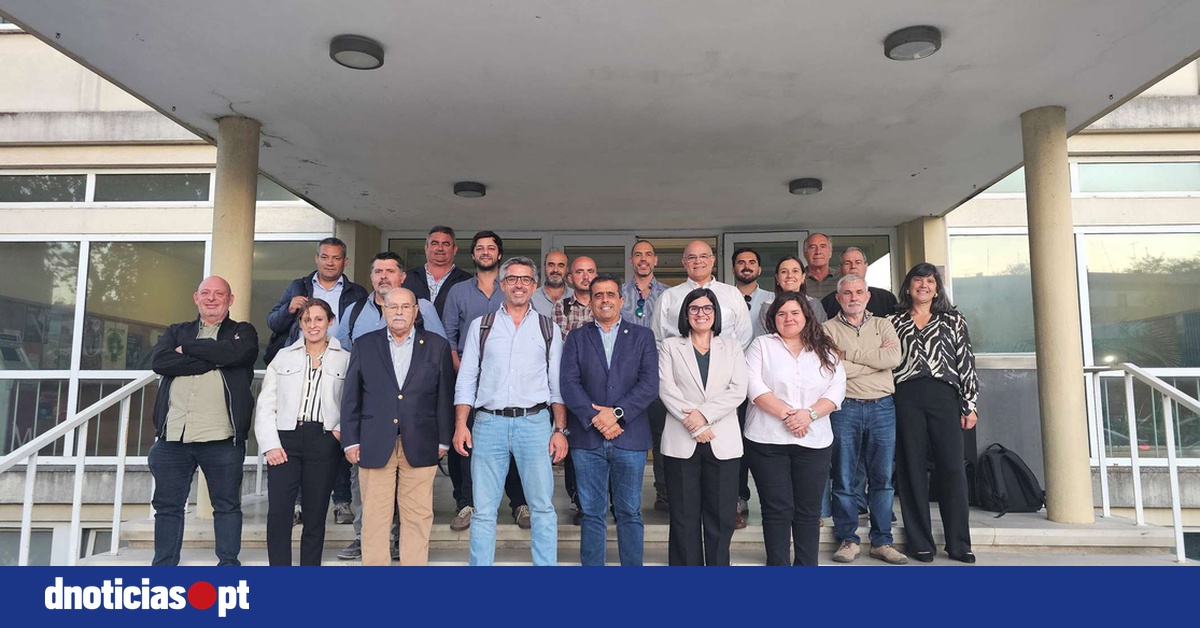 DNOTICIAS.PT