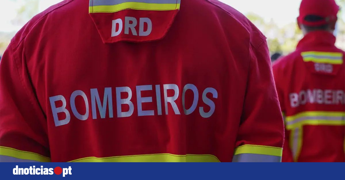 DNOTICIAS.PT