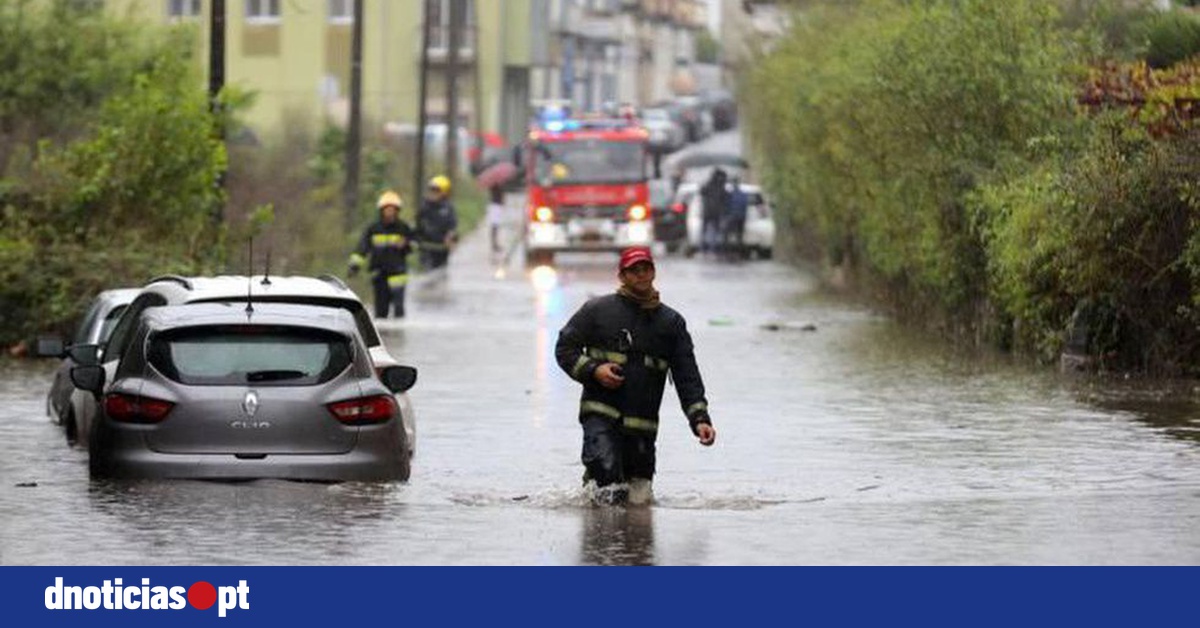 DNOTICIAS.PT