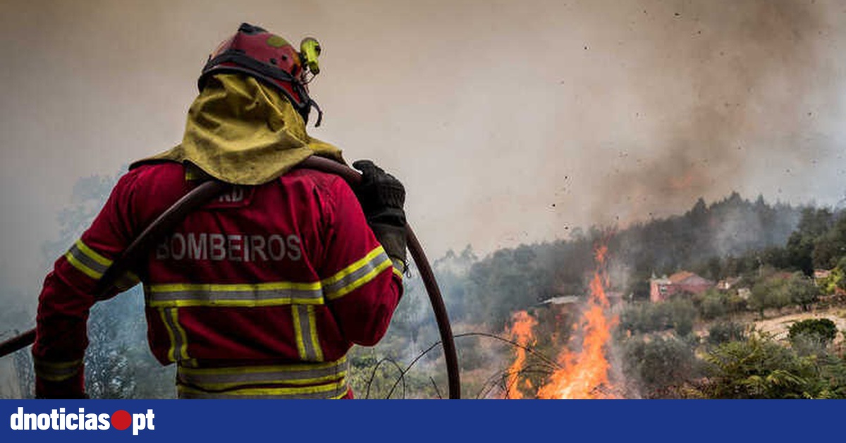 Bombeiros De Loul Preveem noite Muito Longa De Rescaldos Ap s Fogo bombeiros-de-loul-preveem-noite-muito-longa-de-rescaldos-ap-s-fogo