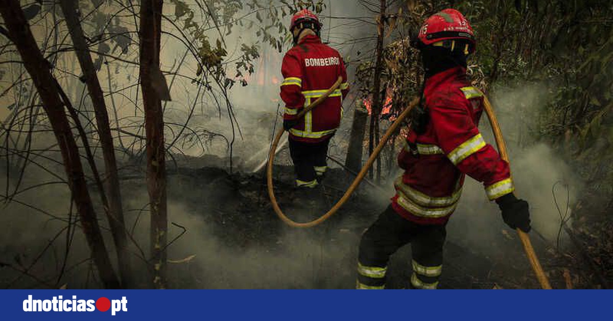 Frente Do Fogo Em Castelo Branco Continua Bastante Activa Segundo A