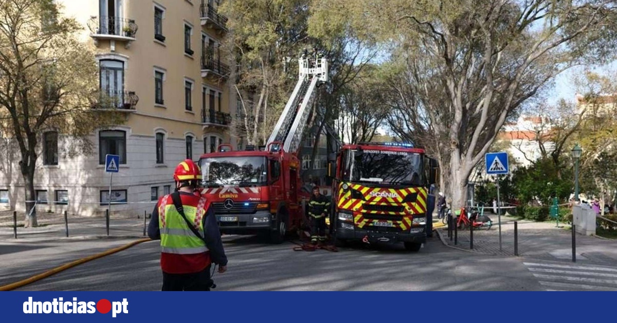 DNOTICIAS.PT