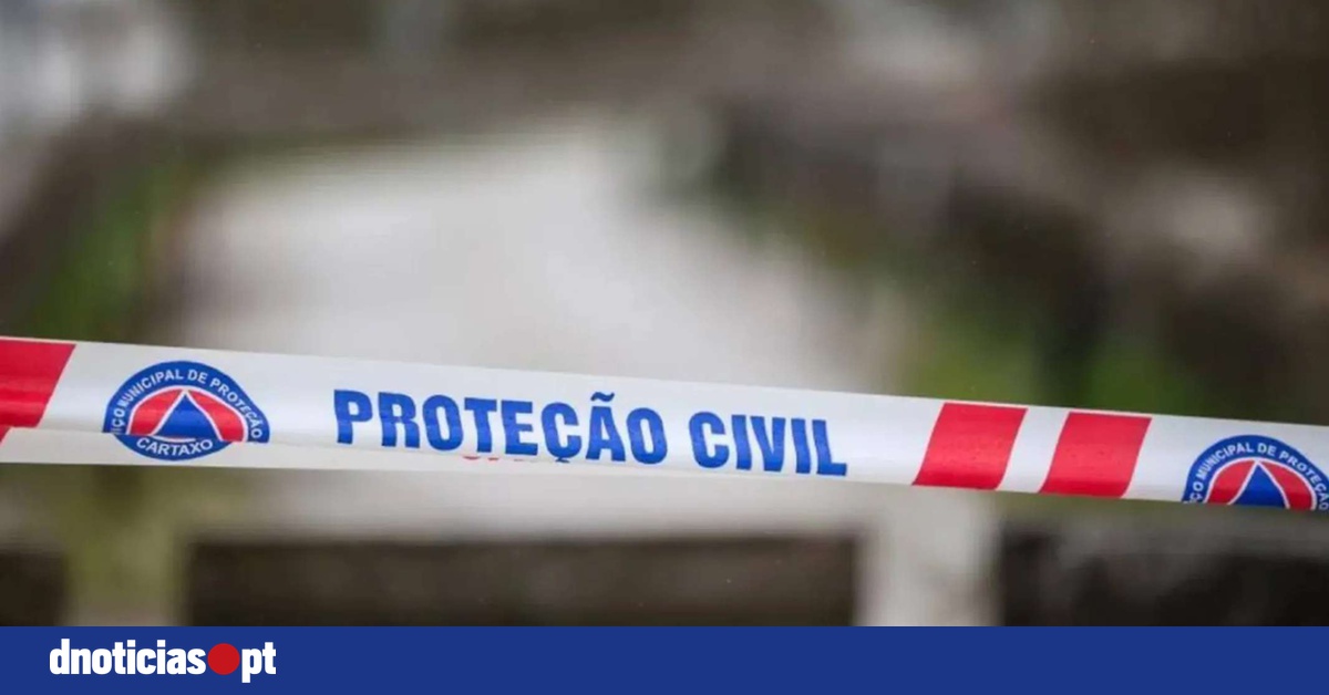 DNOTICIAS.PT