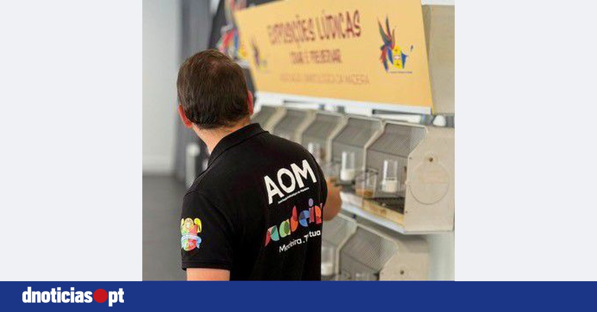 DNOTICIAS.PT