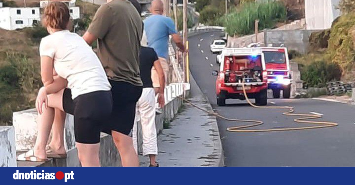 DNOTICIAS.PT