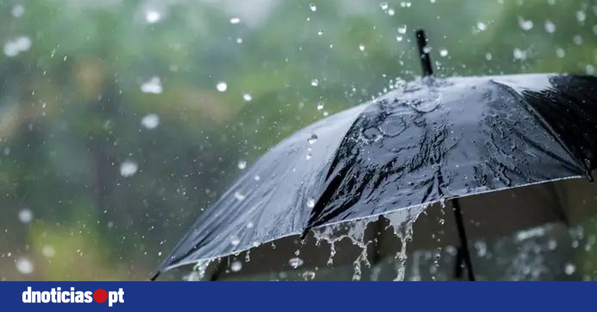 Yellow Weather Alert Issued for Madeira and Seven Azores Islands Due to Heavy Rain and Strong Winds