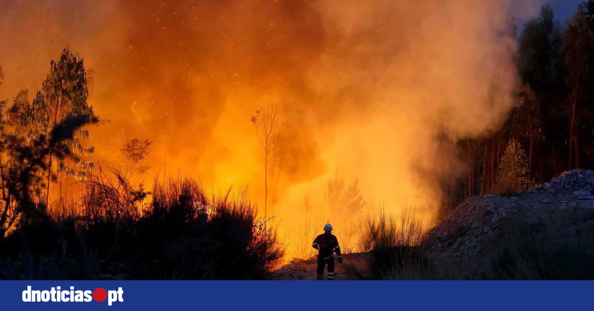 DNOTICIAS.PT