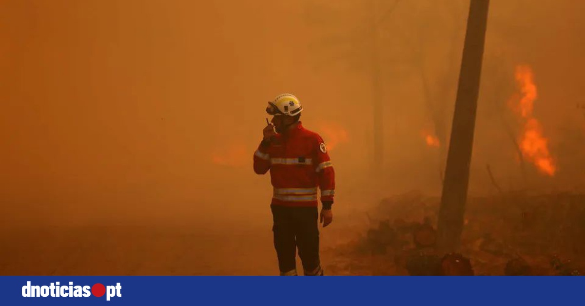 DNOTICIAS.PT