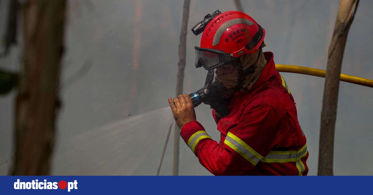 Mais De 20 Concelhos De Quatro Distritos Em Perigo Máximo De Incêndio — Dnoticiaspt 1920