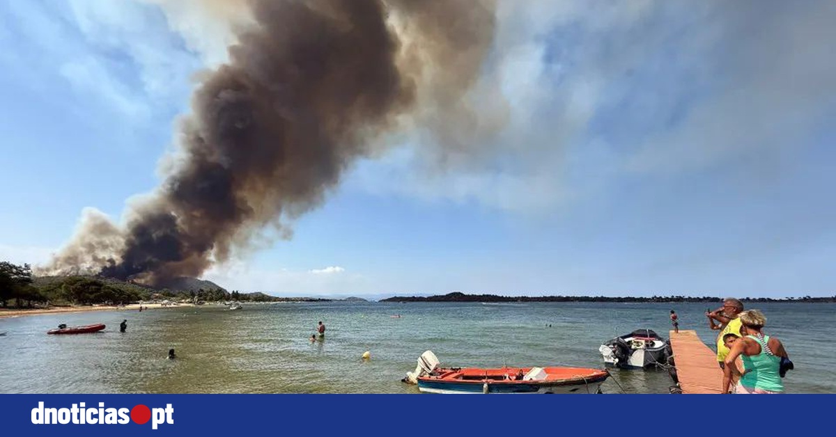 DNOTICIAS.PT