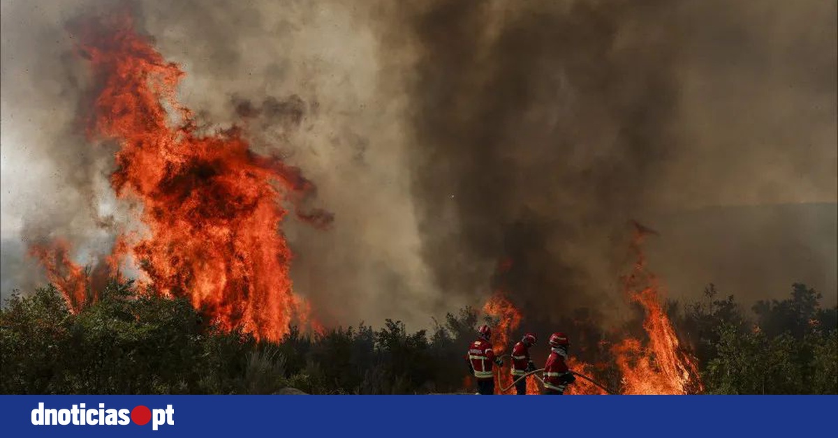 DNOTICIAS.PT
