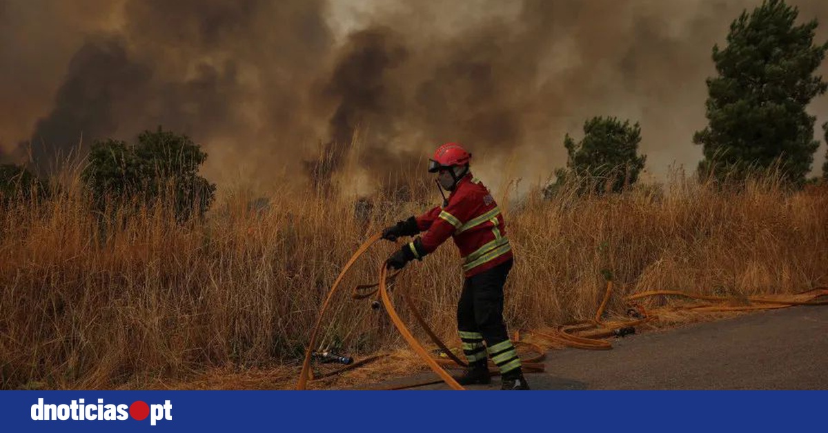DNOTICIAS.PT