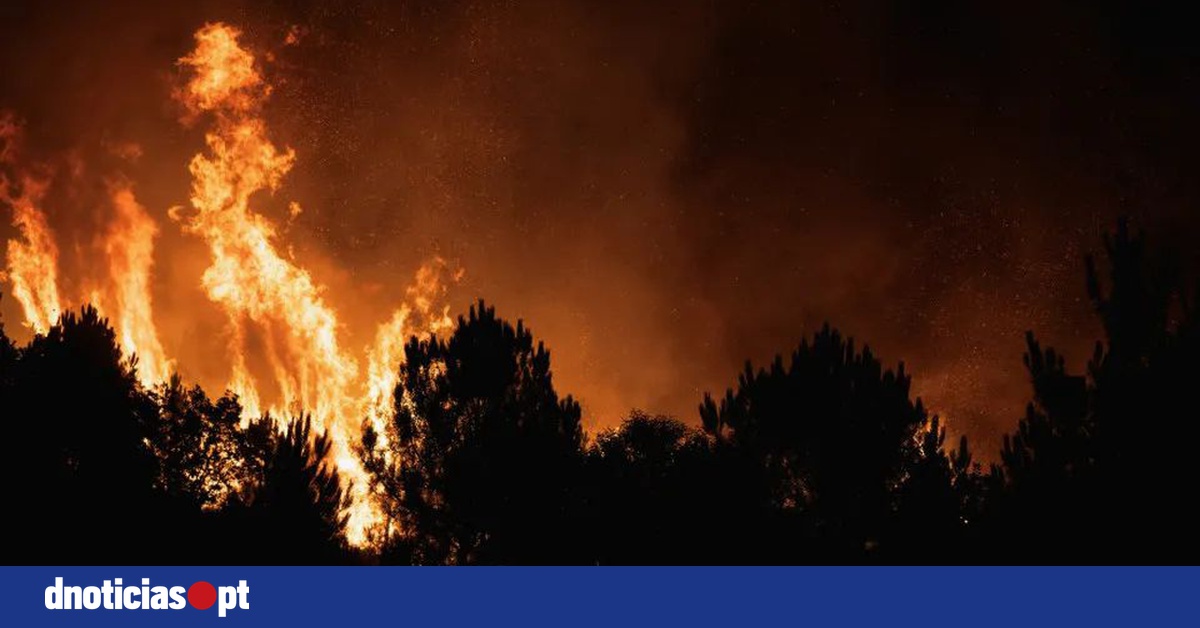 DNOTICIAS.PT