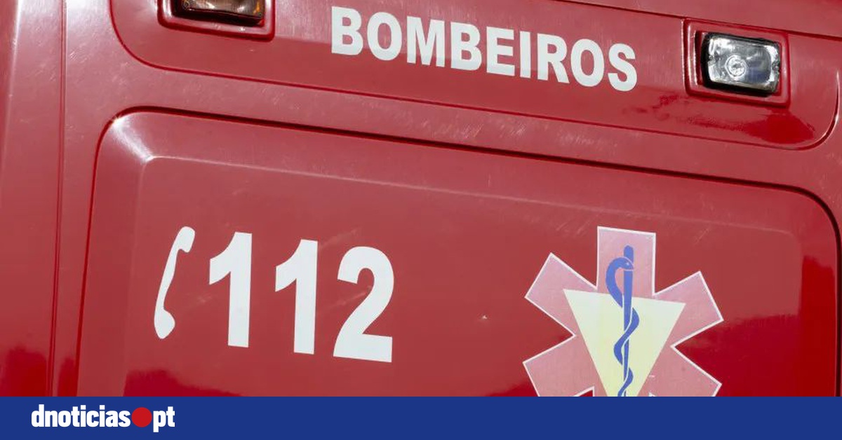 DNOTICIAS.PT