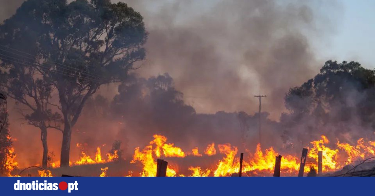 DNOTICIAS.PT