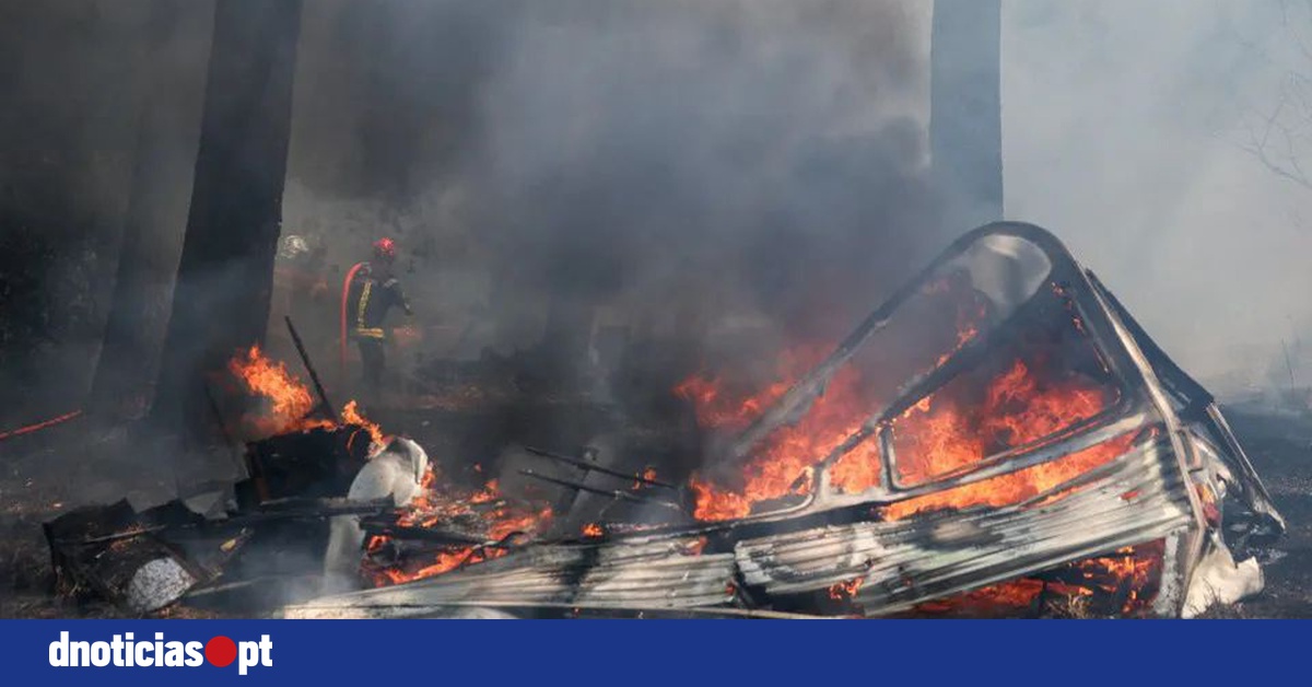 DNOTICIAS.PT