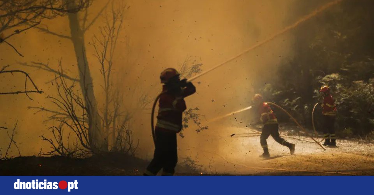 DNOTICIAS.PT