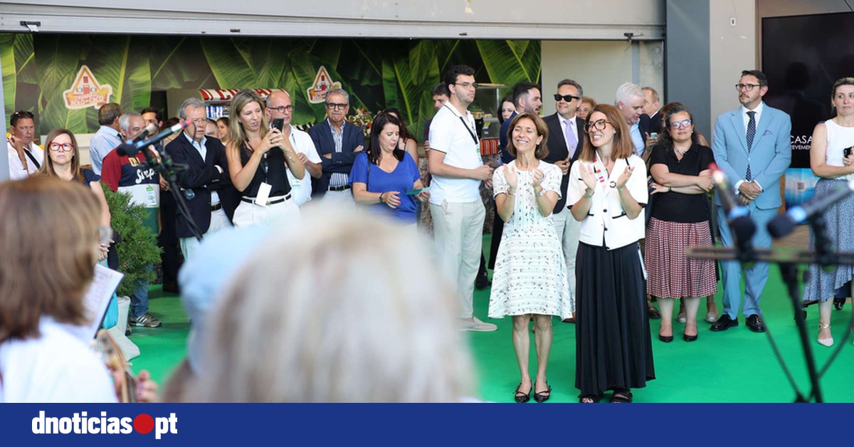 DNOTICIAS.PT