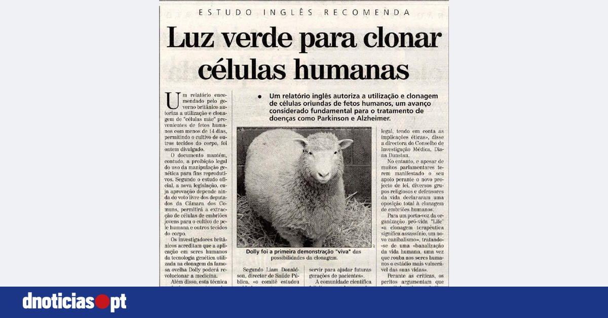 DNOTICIAS.PT