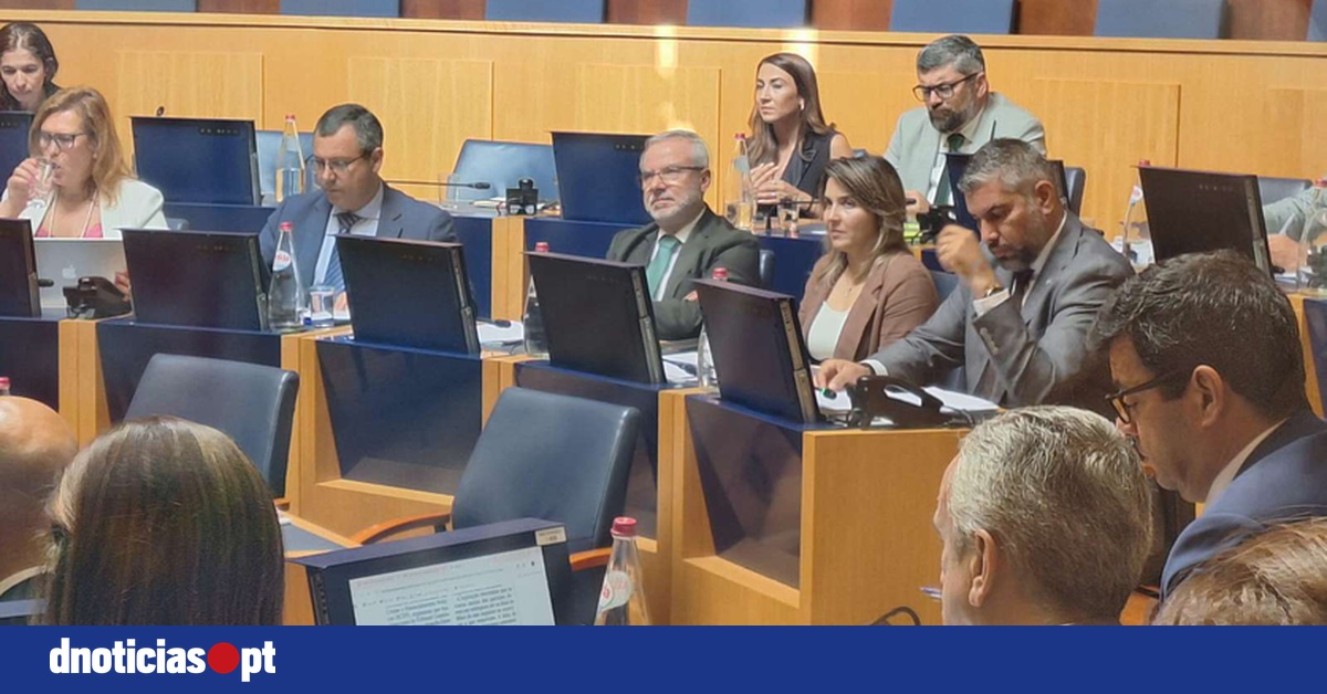 DNOTICIAS.PT