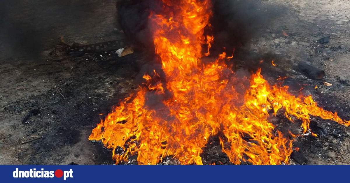 DNOTICIAS.PT