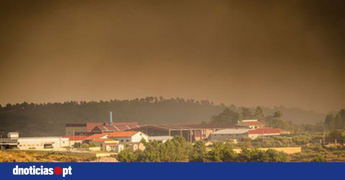 DNOTICIAS.PT