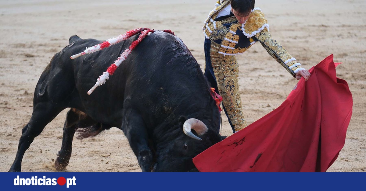DNOTICIAS.PT
