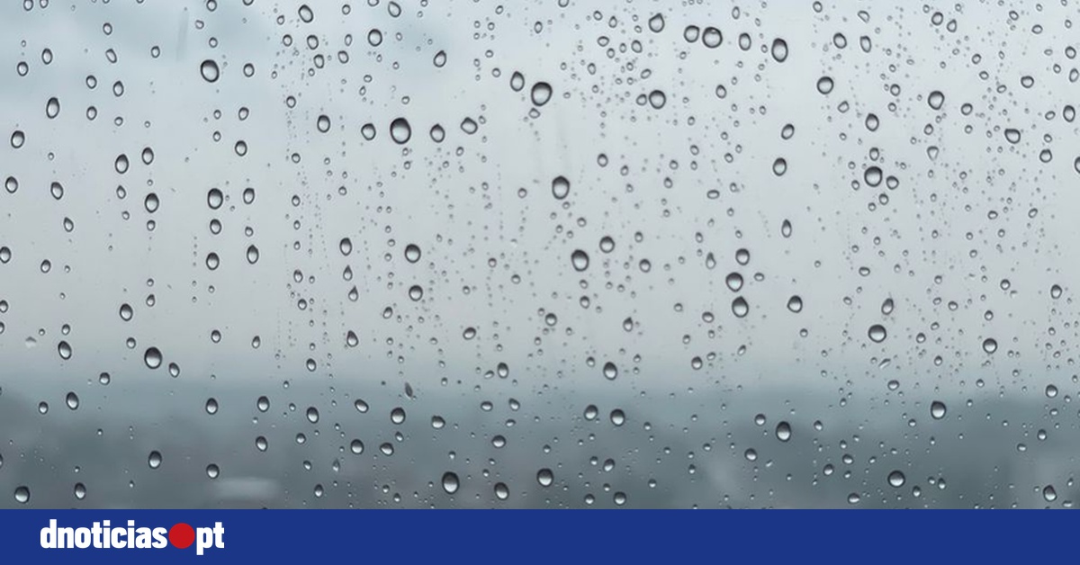 DNOTICIAS.PT
