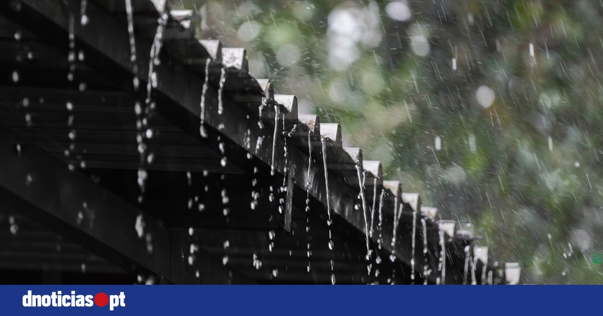 DNOTICIAS.PT