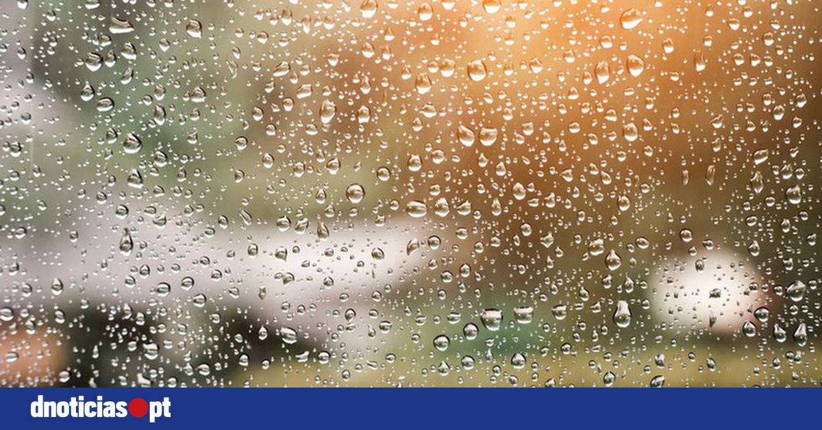 DNOTICIAS.PT