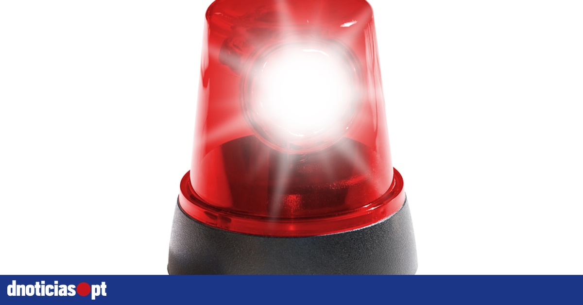 Waldmeister Translation In German Bab La Waldmeister Translation In German Bab La