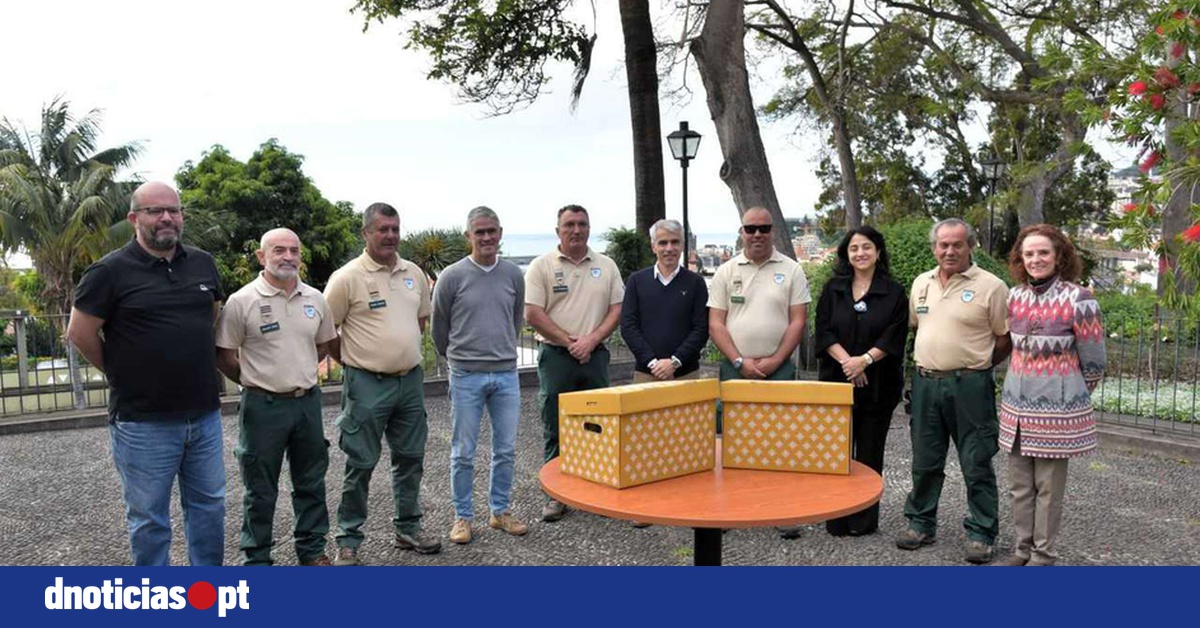 DNOTICIAS.PT