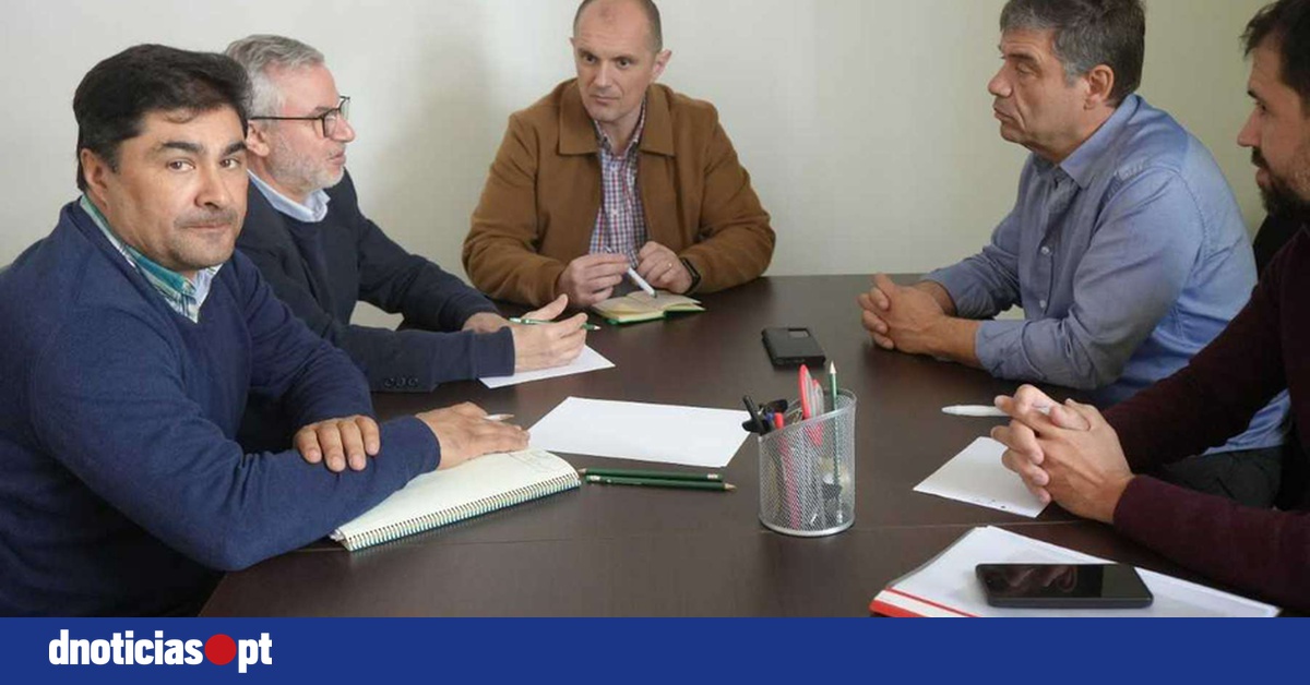 DNOTICIAS.PT