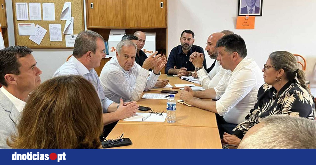 DNOTICIAS.PT